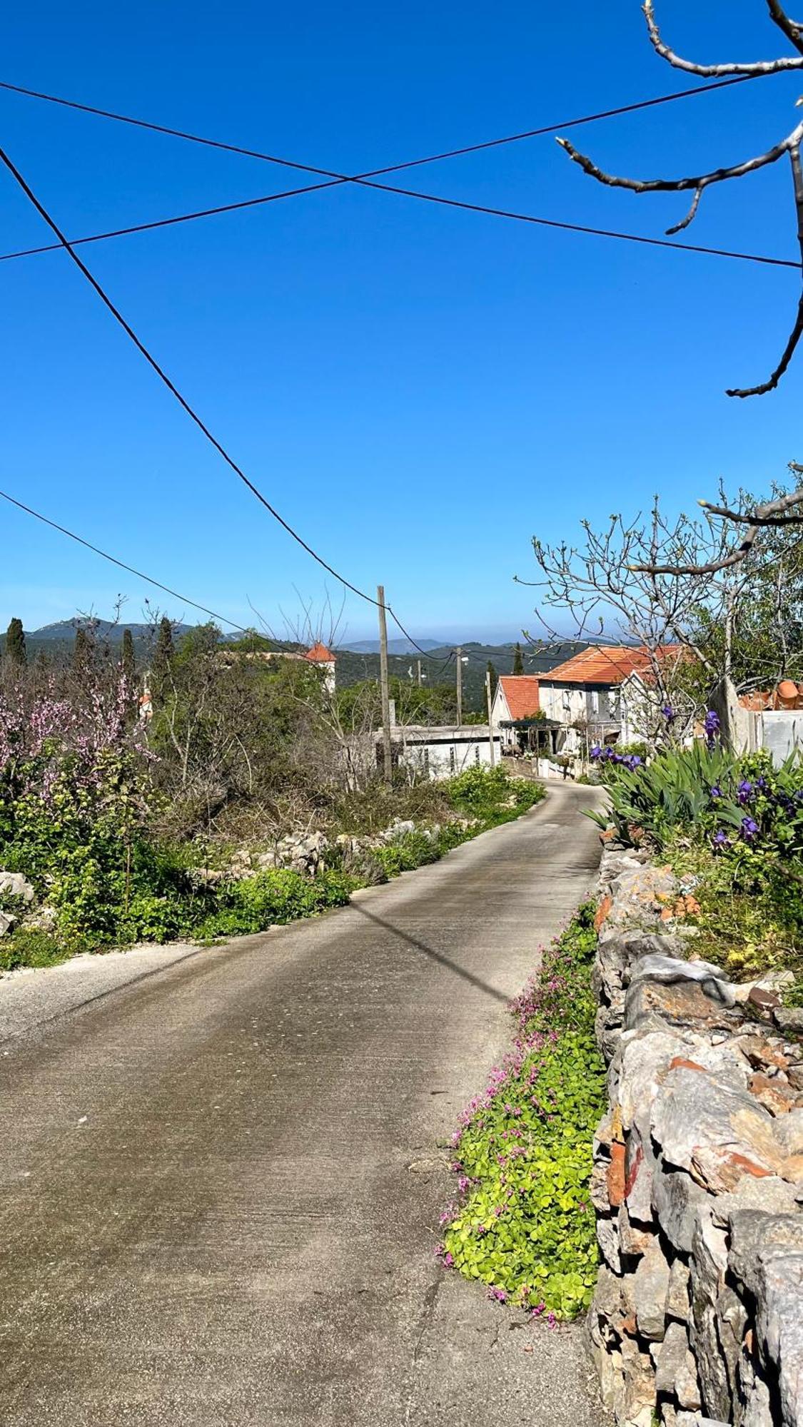 Olivier House Βίλα Zaglav Εξωτερικό φωτογραφία